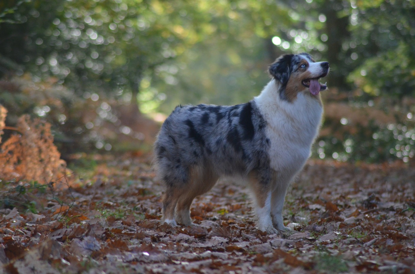 PREMIERE PORTEE EN 2026